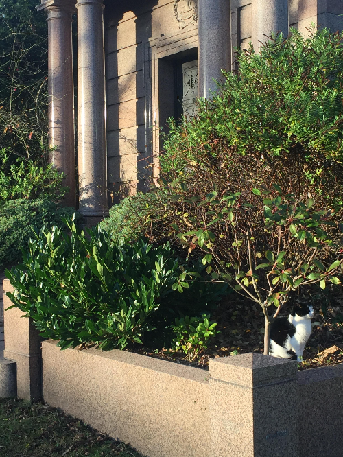 햄스테드 히스 공원&#44; 햄프스테드 히스&#44; hampstead heath park&#44; 영국 런던 공원&#44; 런던 산책&#44; 햄스테드 역&#44; 하이게이트 산책