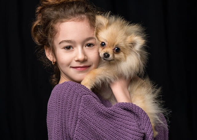 여름철 노령견 건강관리법