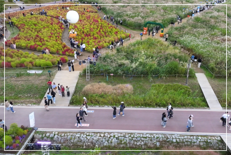 서울-억새축제-19