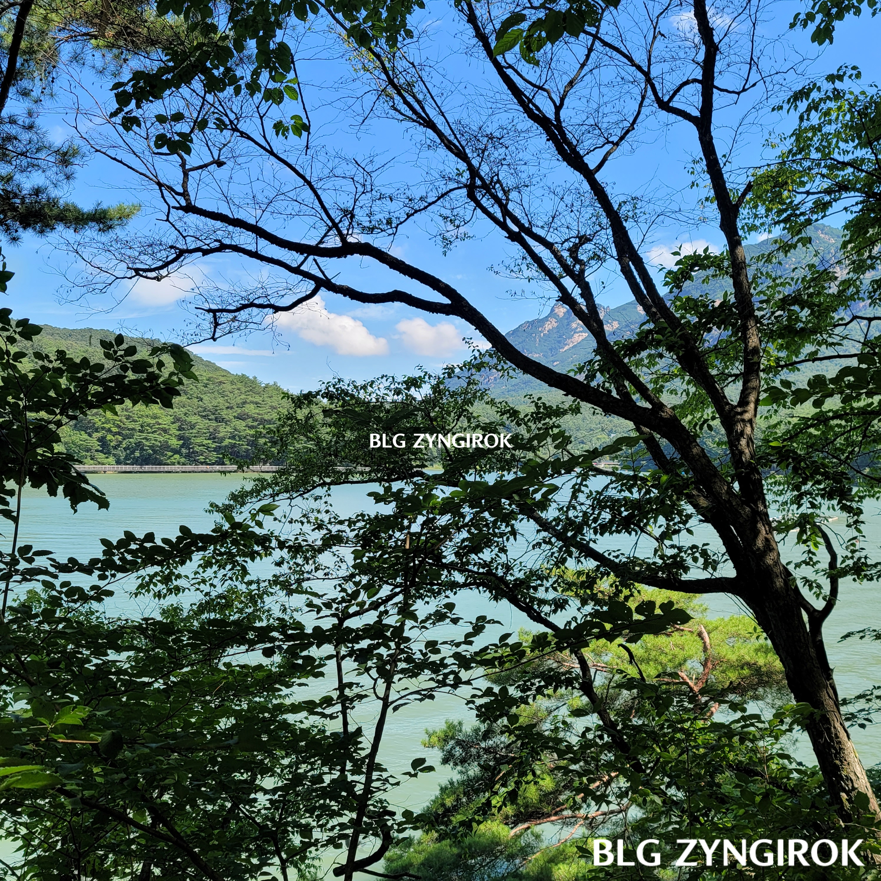 나무사이로-보이는-호수-건너편-산-능선들이다.