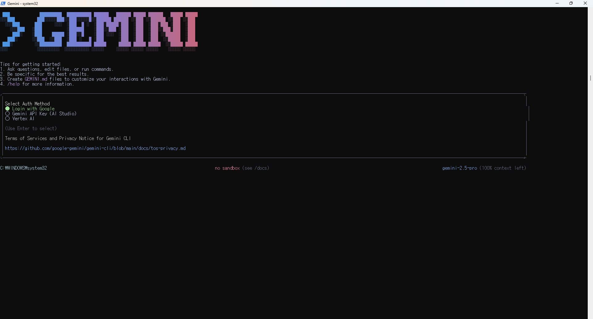 gemini 실행2