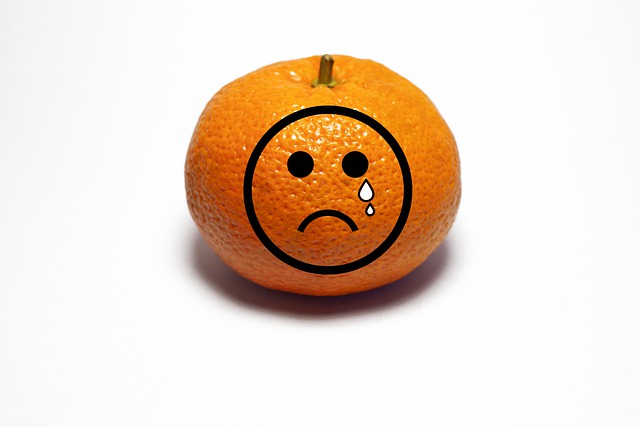 mbti-성격-유형검사