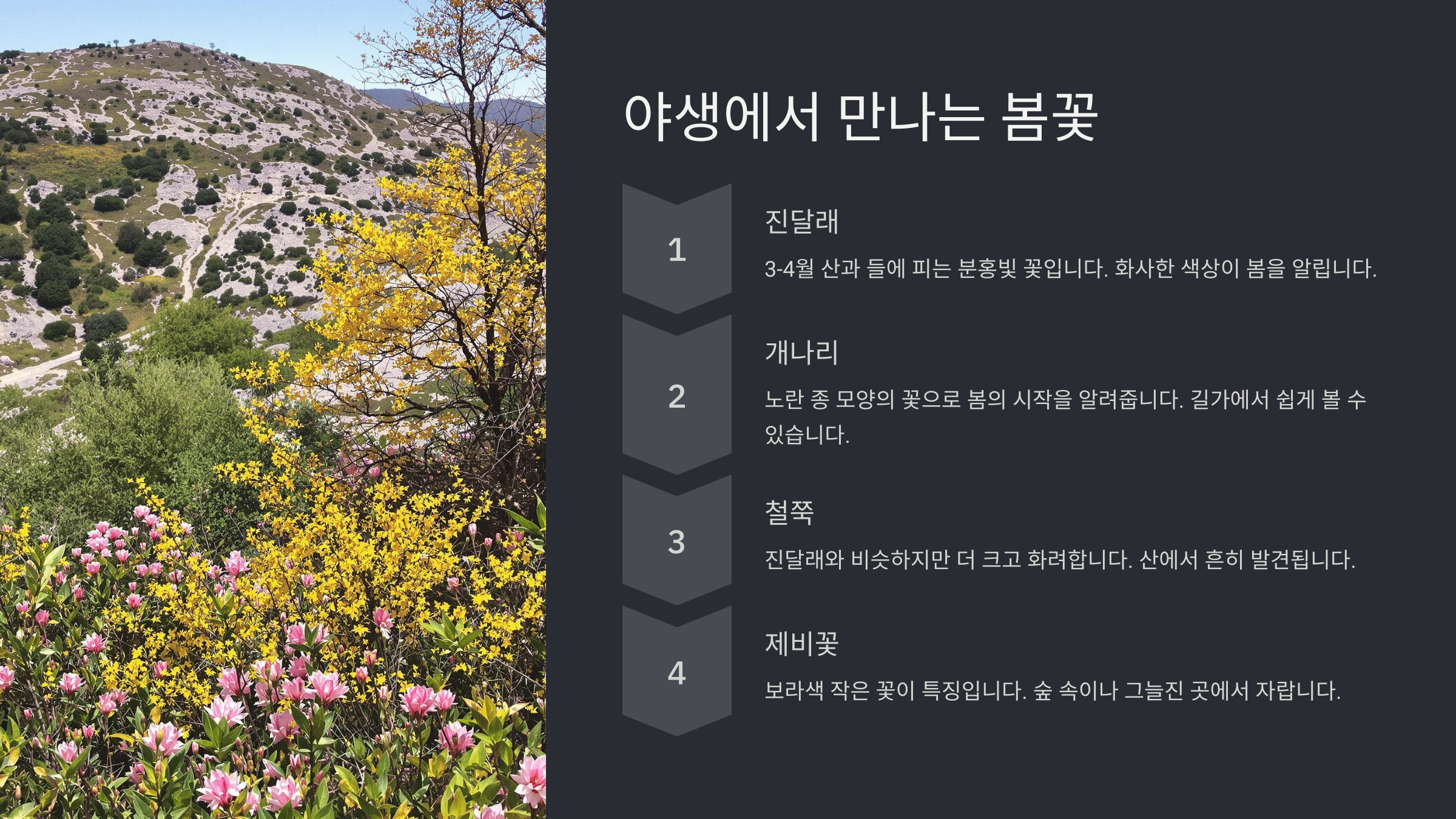 봄꽃 종류 100가지와 특징