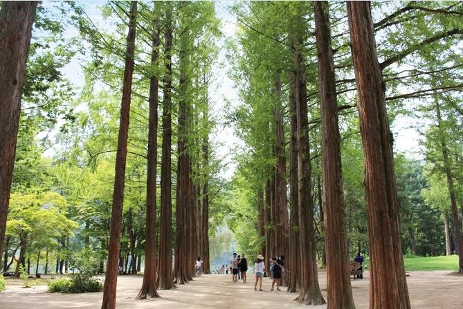 춘천 여행 가이드 – 꼭 가봐야 할 명소 & 꿀팁!