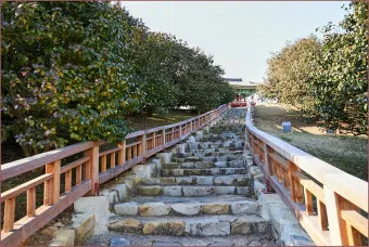 서천 마량리 동백나무 숲 개화 코스_20