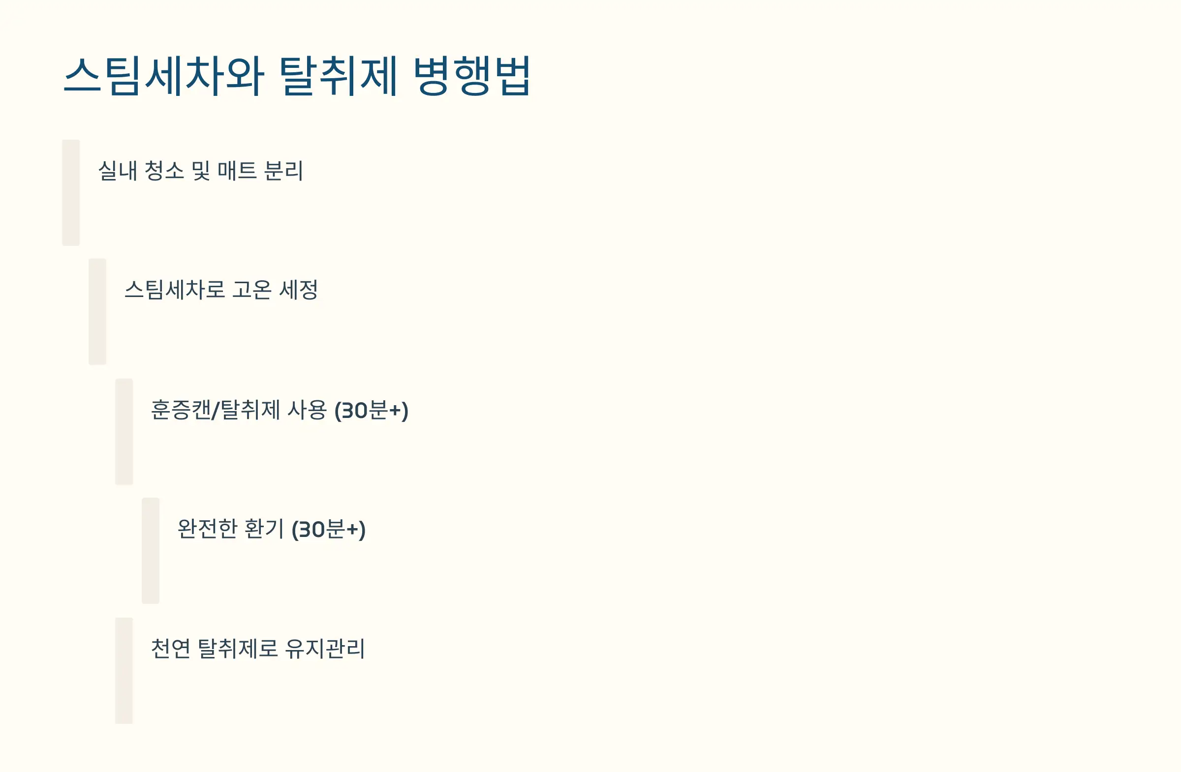 스팀세차와 탈취제를 함께 쓰는 방법