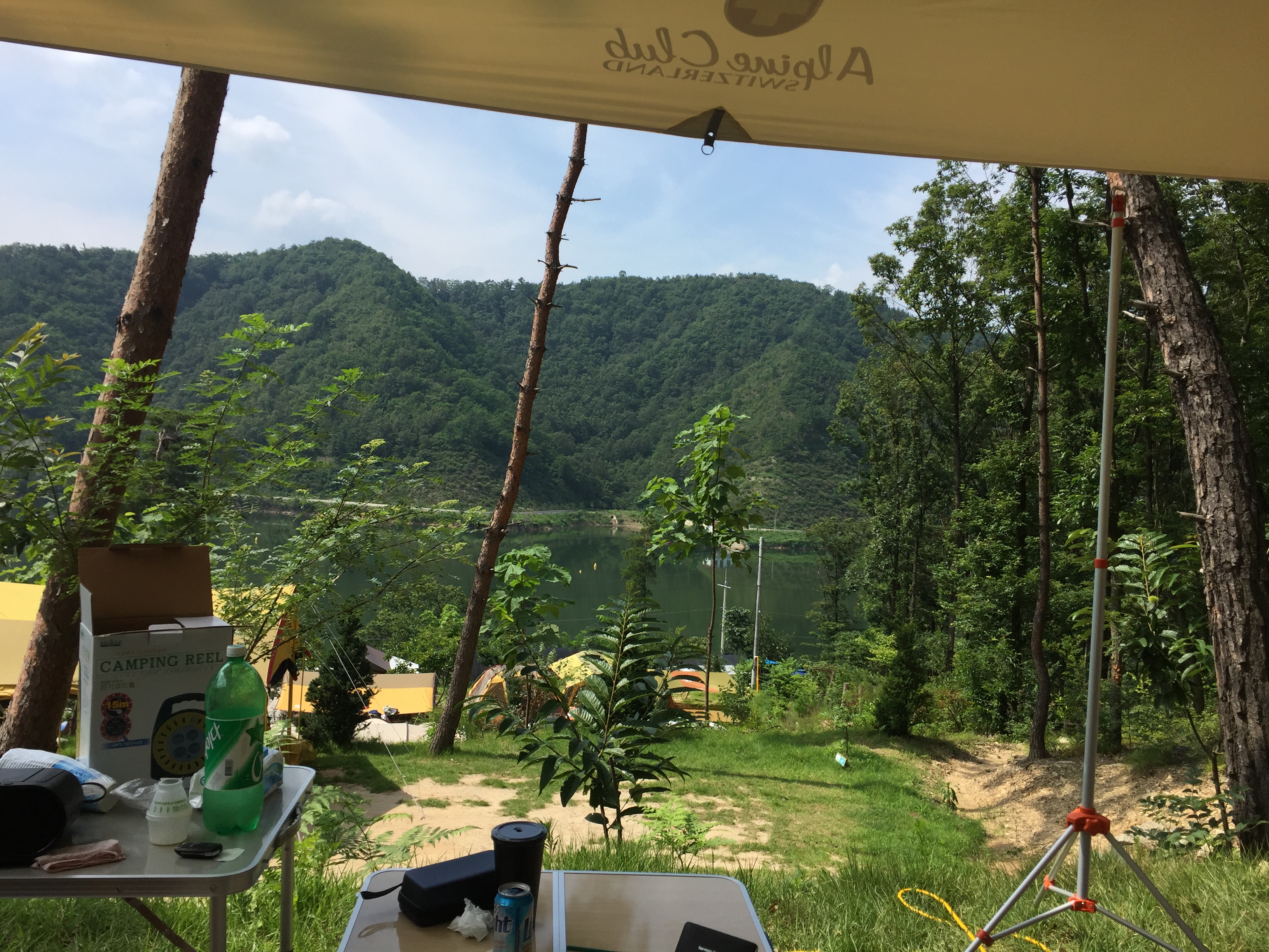 마로니에 캠핑장