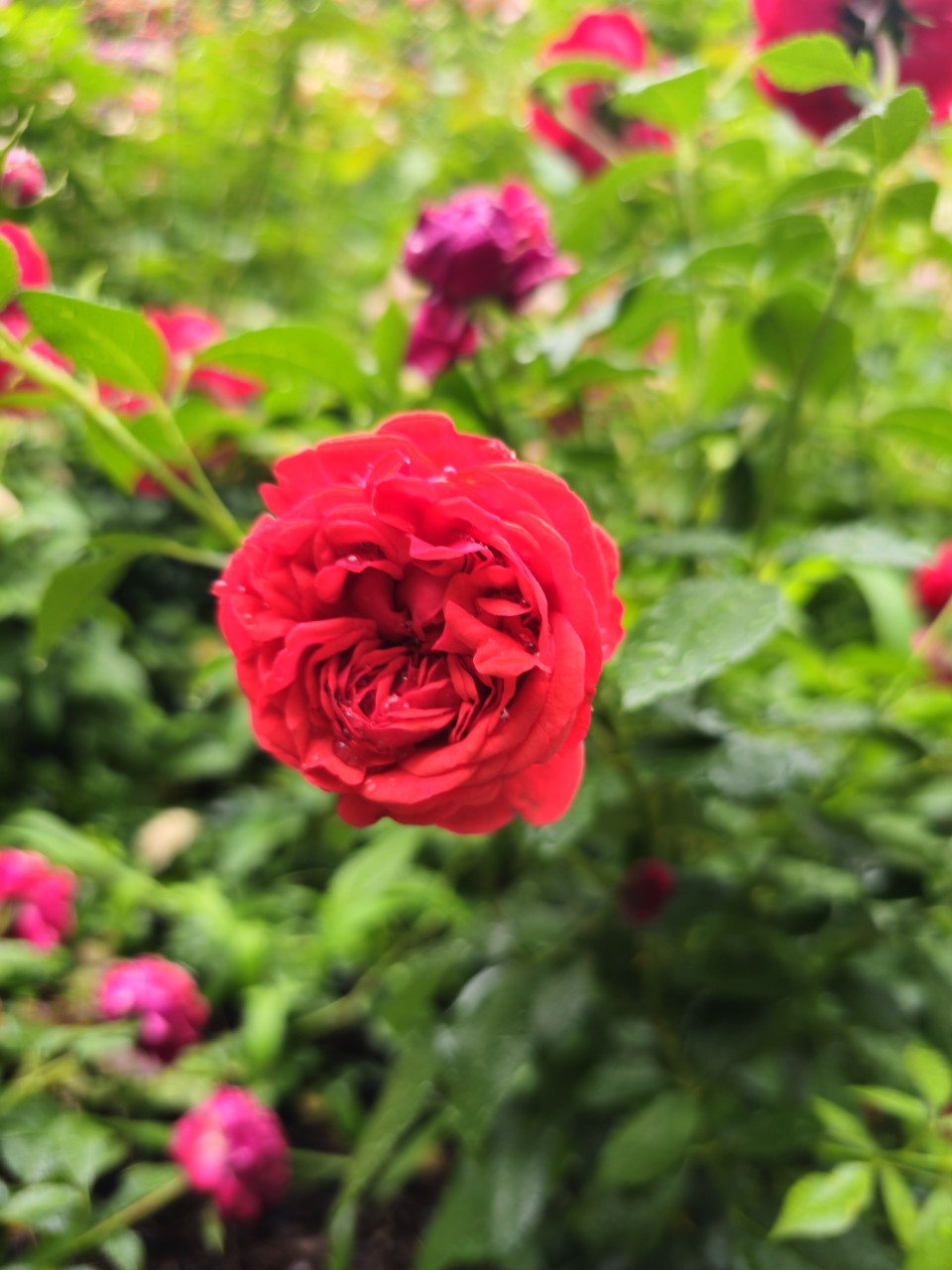 AI 시대 직업 변화 (자동화, 신직군, 재교육)