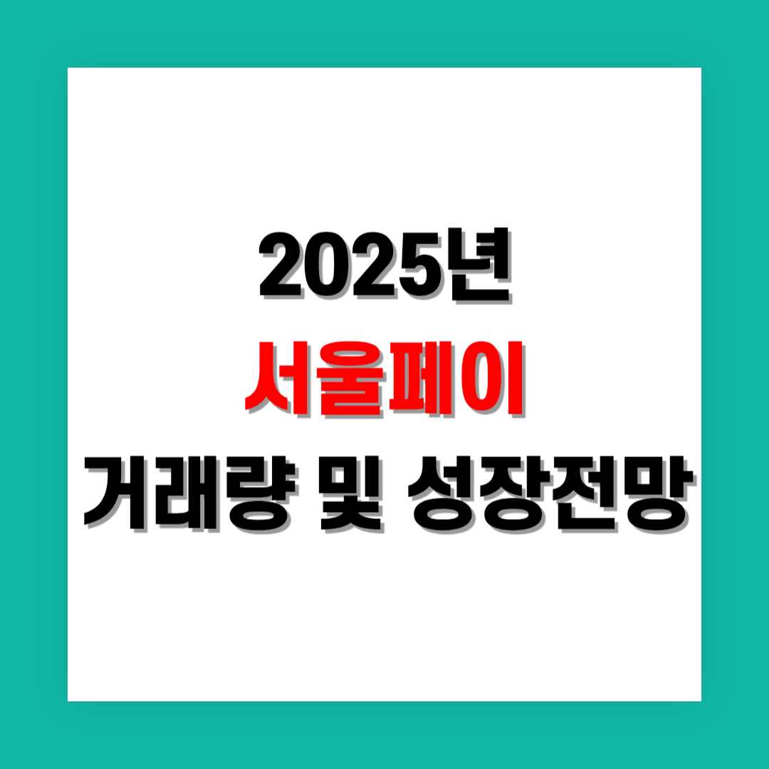 서울페이 거래량 및 성장 전망