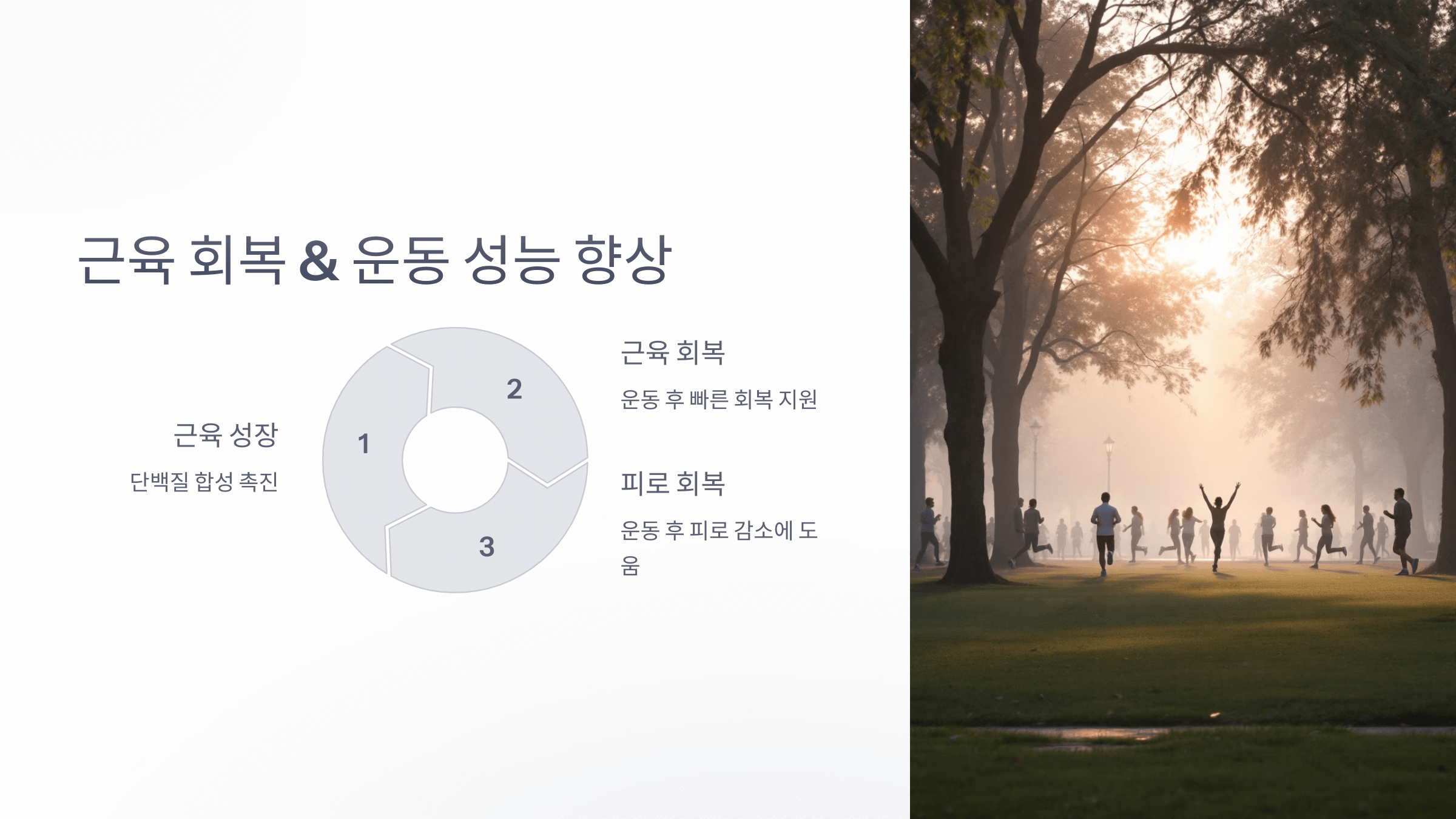 아연과 관련된 사진입니다.