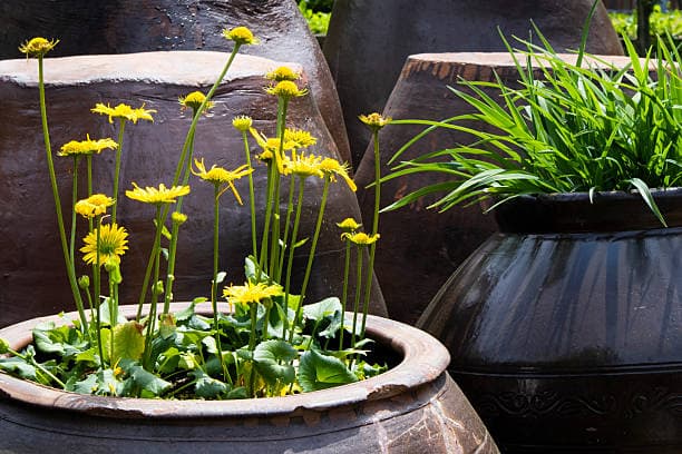 옛날 도구를 현대 인테리어 소품으로 활용하는 방법