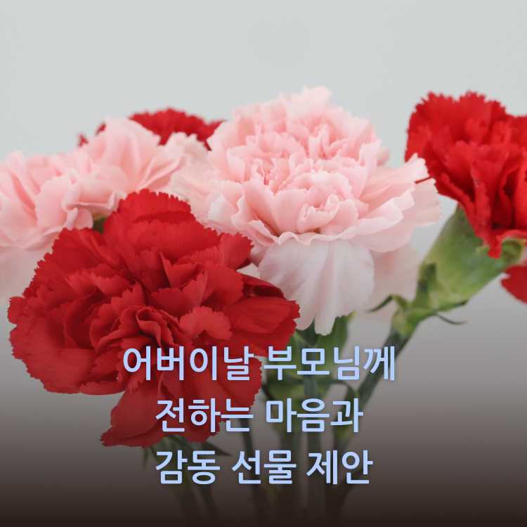 붉은색과-핑크색의-카네이션