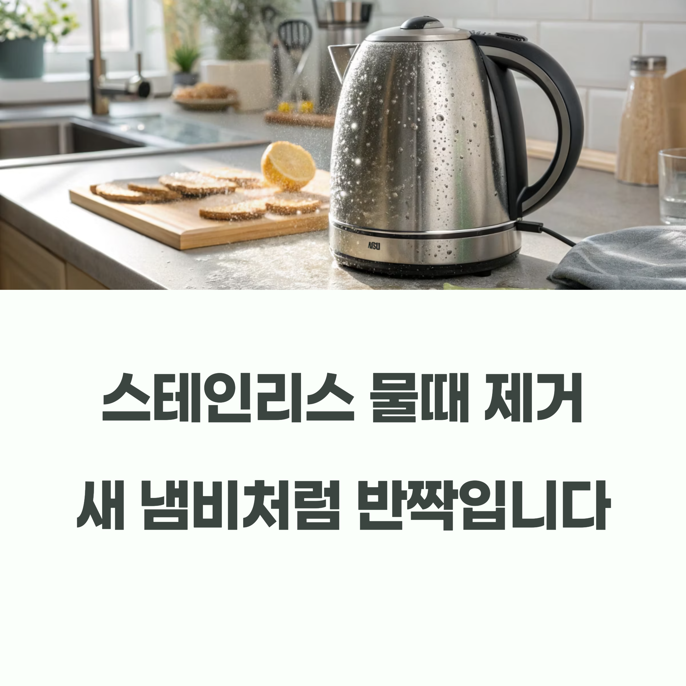 커피포트 스테인리스 물때 제거