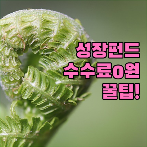 국민성장펀드 판매처와 수수료 아끼는 ..