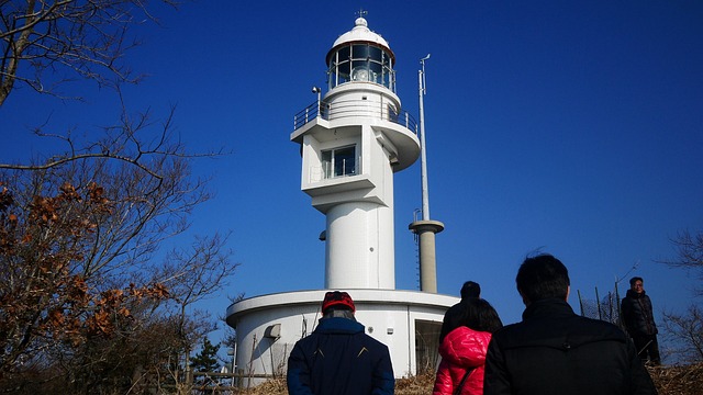대마도여행 후기 모음: 실제 다녀온 사람들이 말하는 장단점