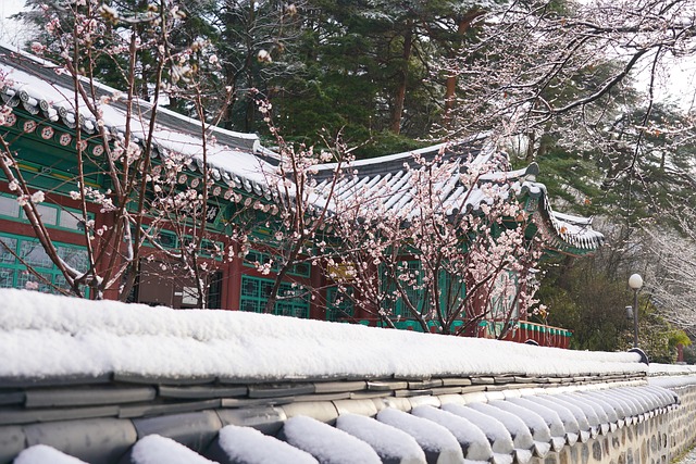 고궁에 눈이 쌓인 풍경의 사진