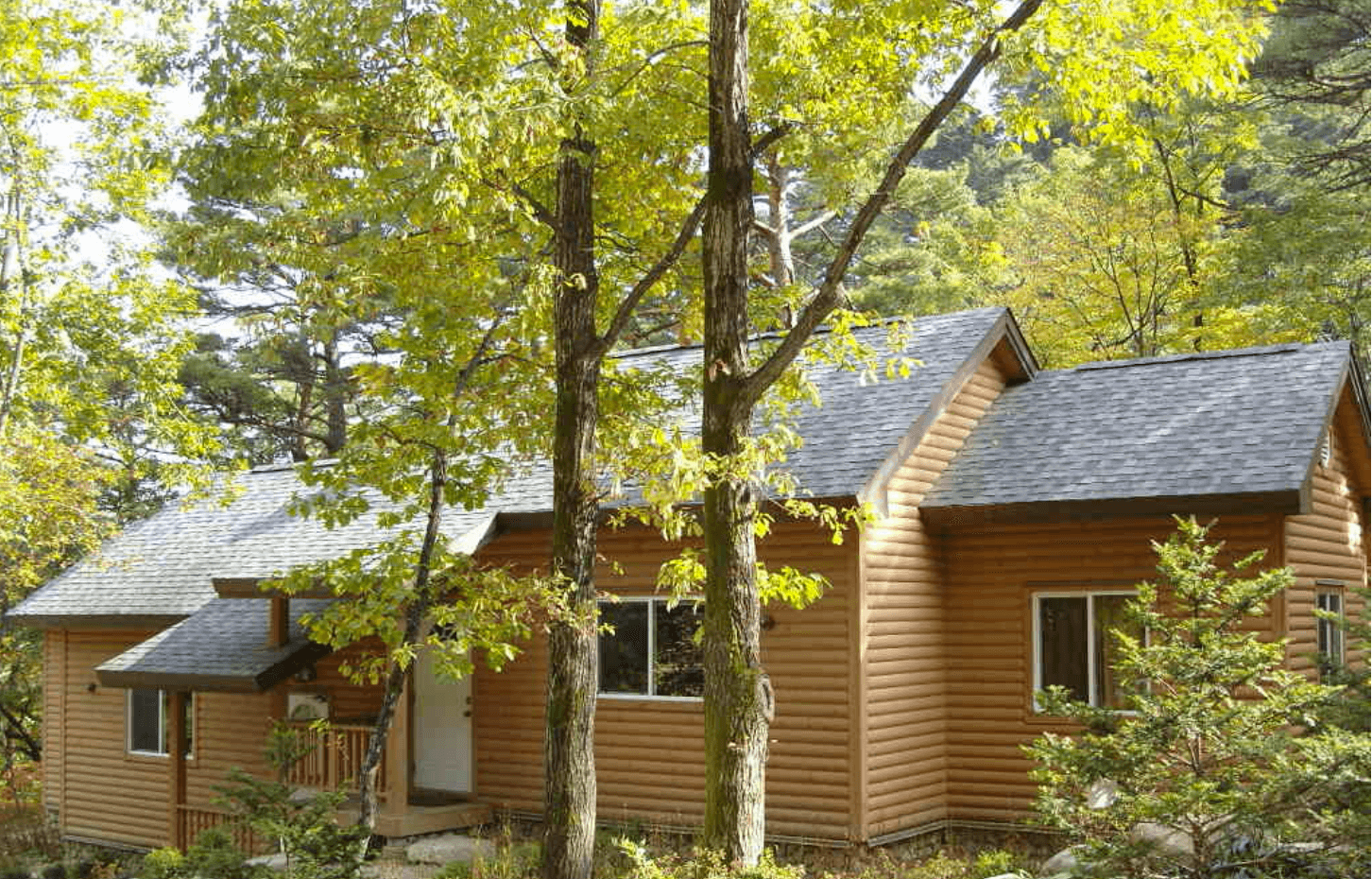 국립자연휴양림 