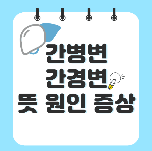 간병변 간경변 뜻 원인 증상