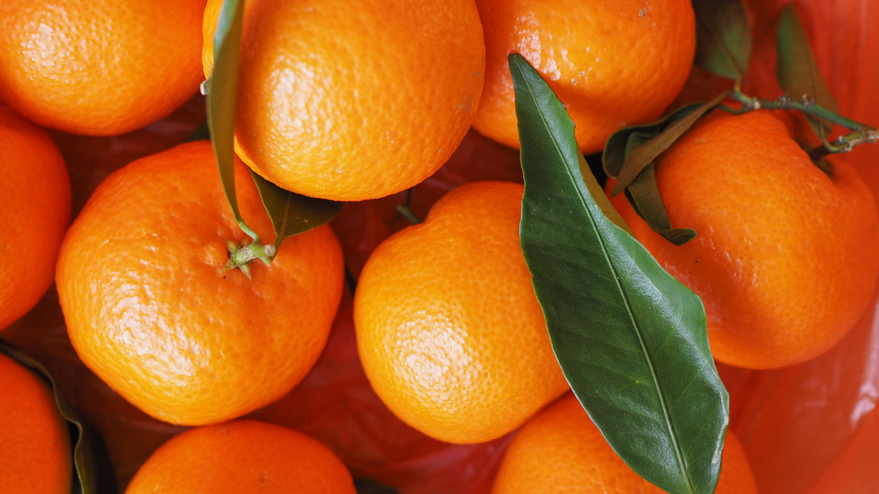 만다린 에센셜 오일: 이름없는 영웅