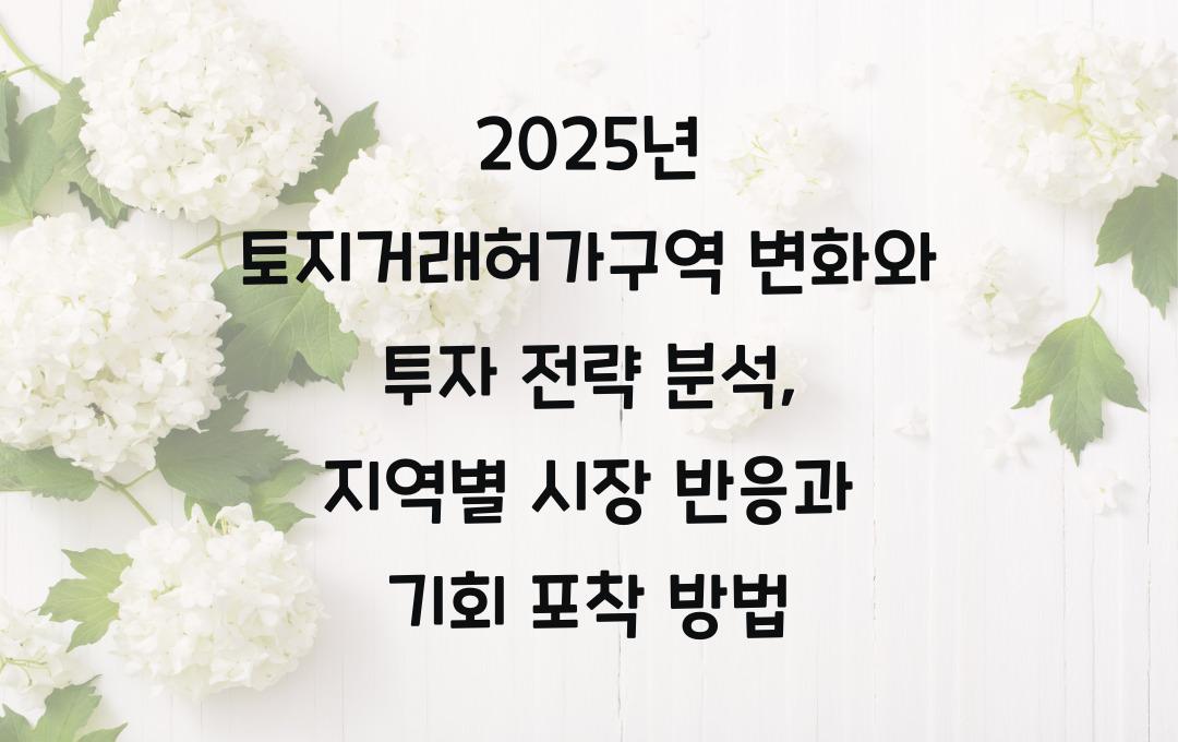 2025년 토지거래허가구역 변화와 투자 전략 분석