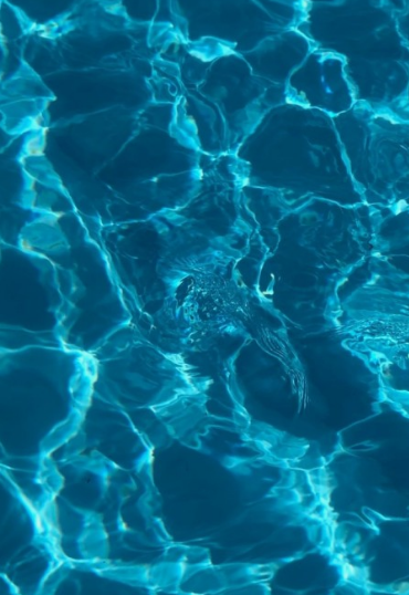 물을 보는 꿈해몽