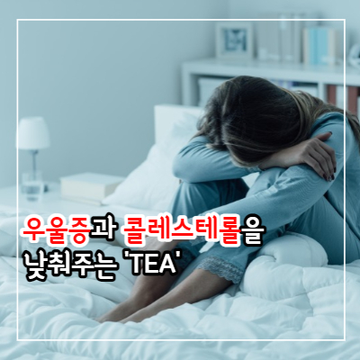 얼그레이 효능 9가지와 부작용