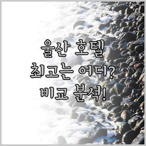 울산 호텔 완벽 분석 롯데시티호텔, 