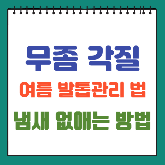 여름 발톱 관리법 무좀, 각질, 냄새 없애는 방법