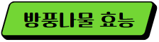 이 이미지를 클릭하시면 방풍나물의 효능 및 부작용에 관한 포스팅으로 이동 됩니다.