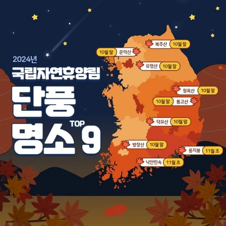 2024년 가을 단풍명소 이미지