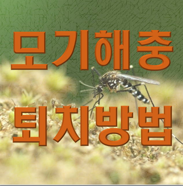 모기퇴치기