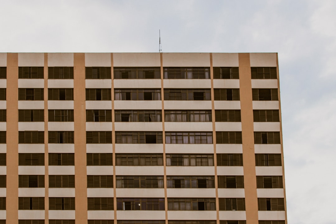 Auditor