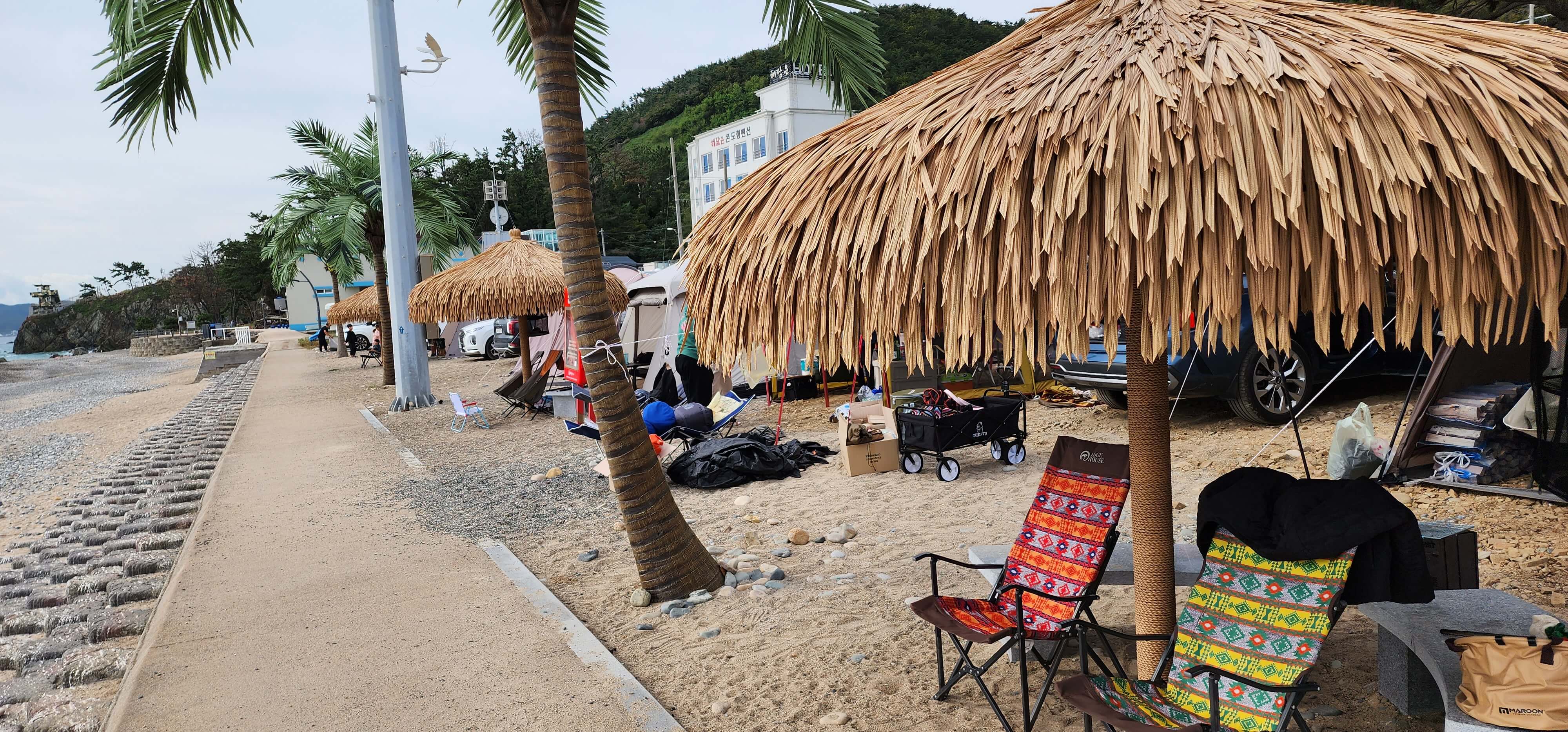 경남 노지차박 캠핑지 경주관성솔밭해변5