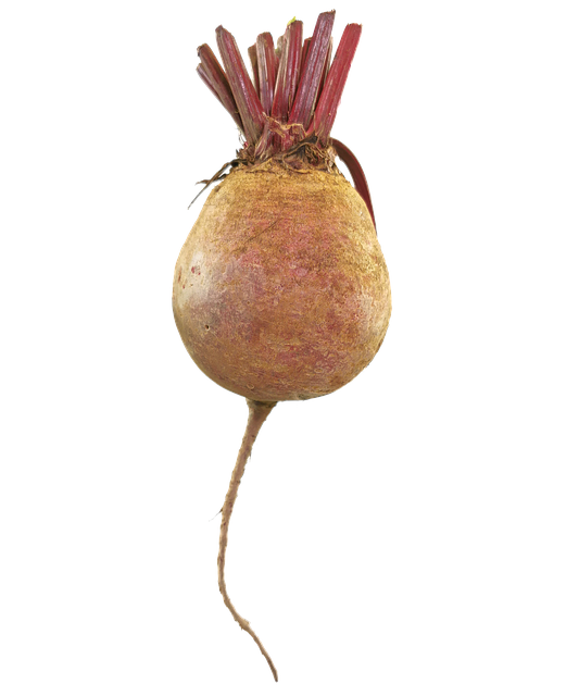 비트 효능과 부작용 총정리