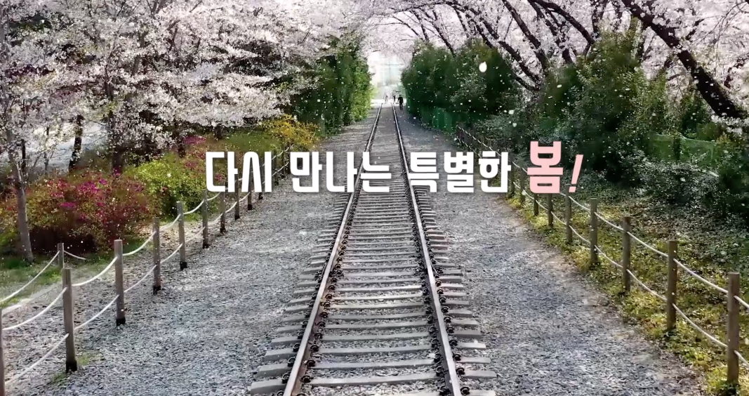 군항제