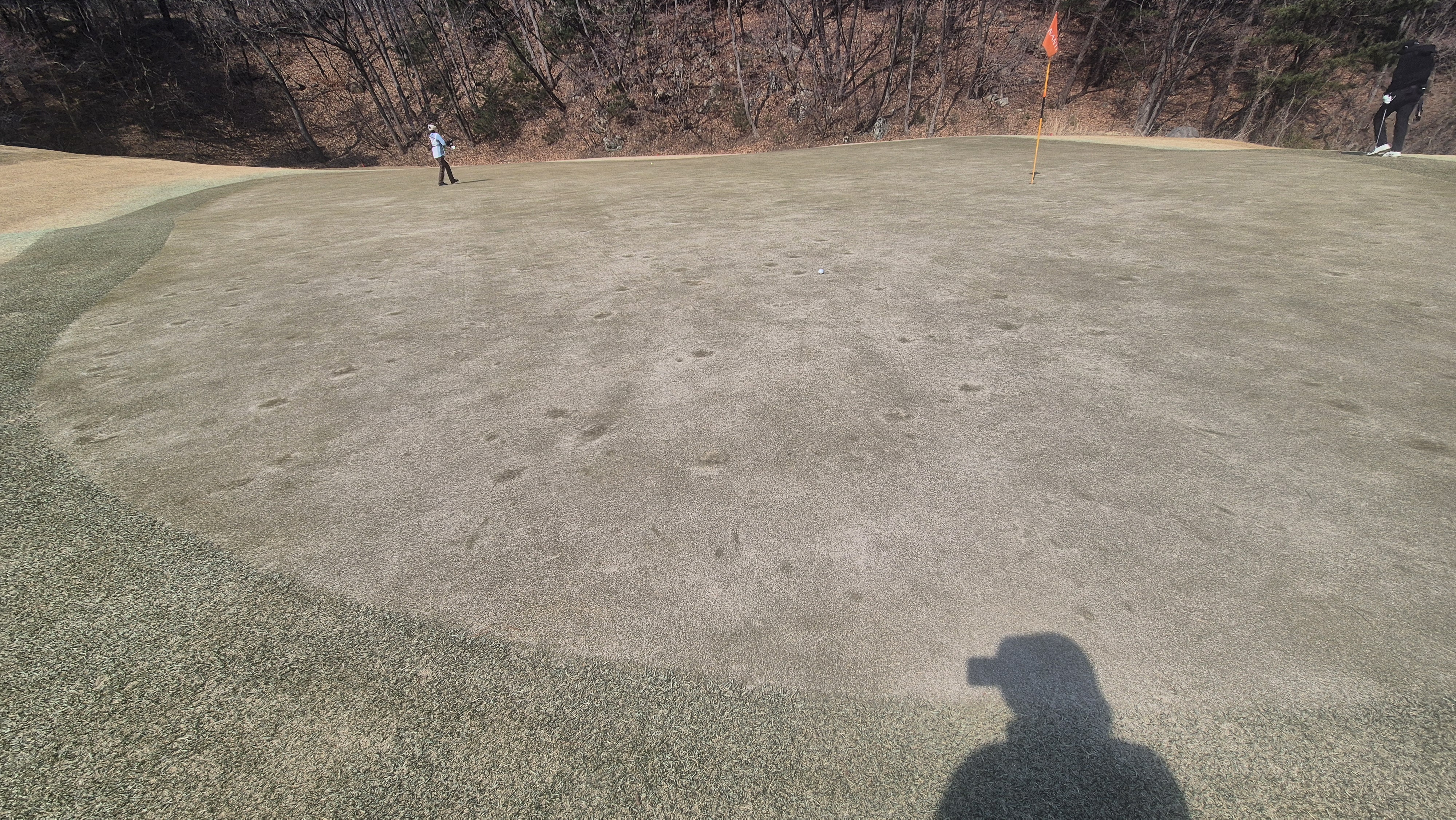 아난티코드gc 잣나무-느티나무 코스 그린 관리상태