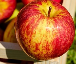 사과 영양성분 칼륨 섭취