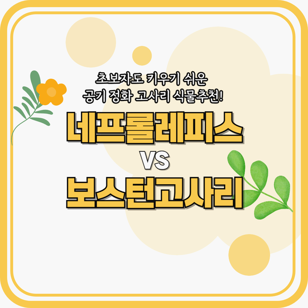 네프롤레피스, 보스턴고사리 비교