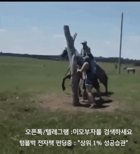 신문스크랩