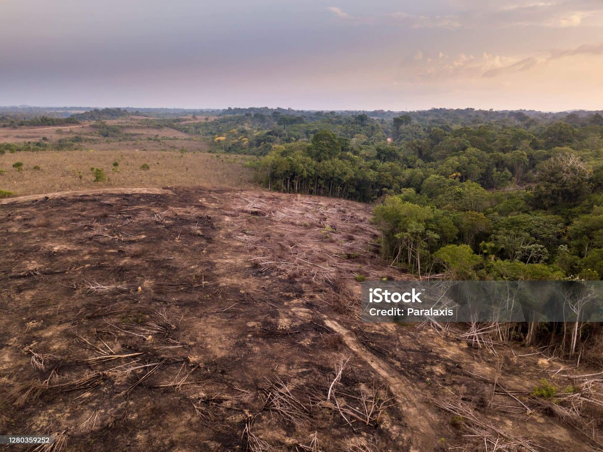 아마존 파괴와 지구 기후 시스템의 붕괴