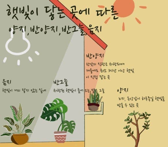 양지와 음지 구분 사진