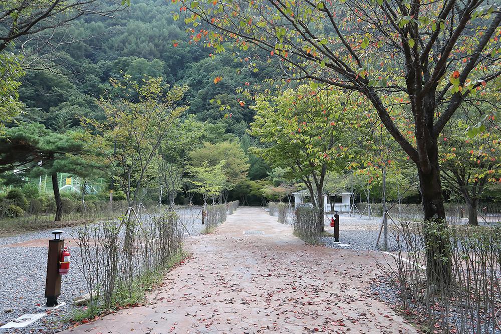 충청북도 단양군 천동오토캠핑장