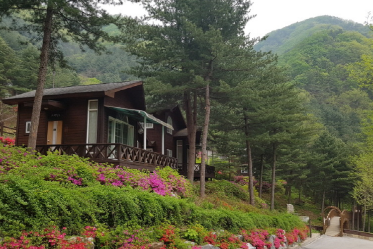 가평 가볼만한곳