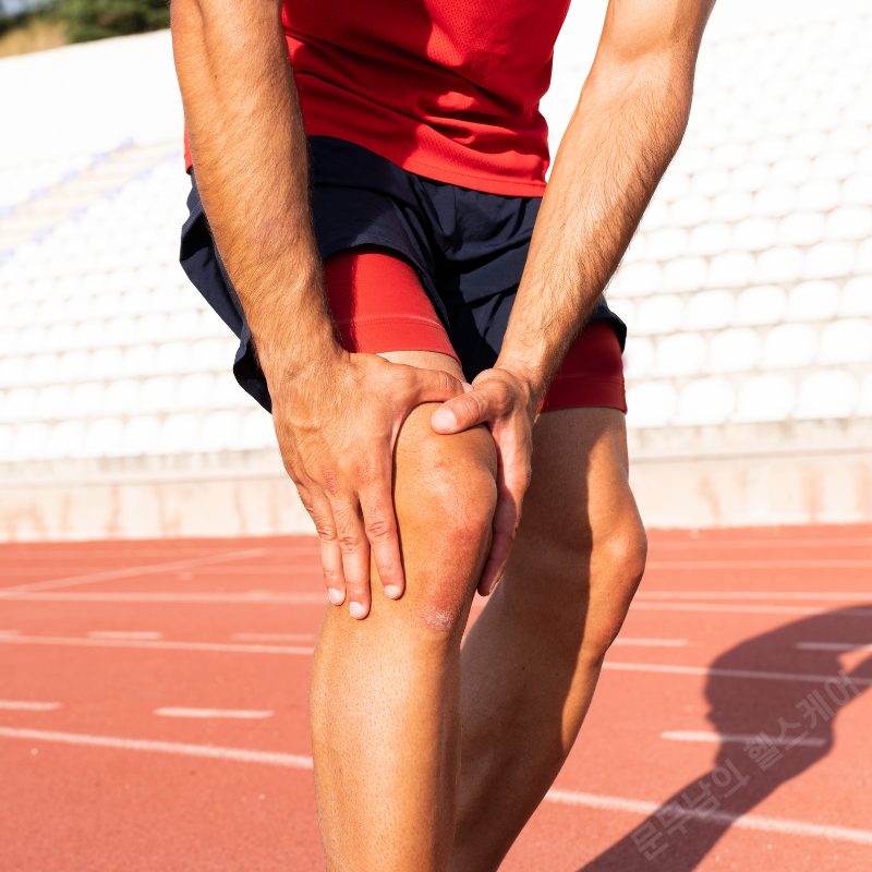 무릎 안쪽 통증 원인