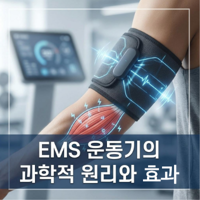 EMS 운동기의 과학적 원리와 효과
