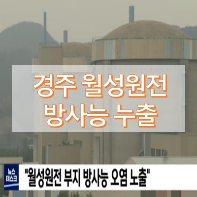 경주 방사능