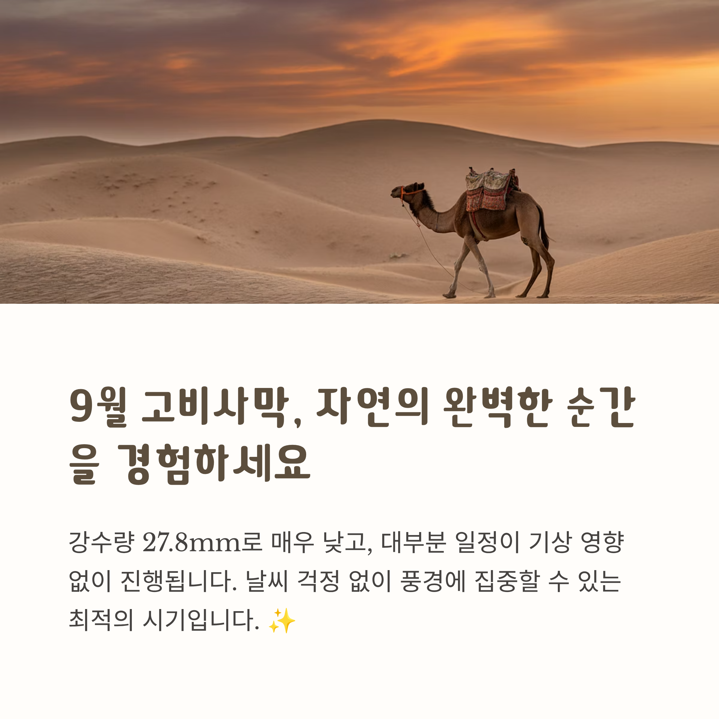 9월 고비사막, 자연의 완벽한 순간을 경험하세요