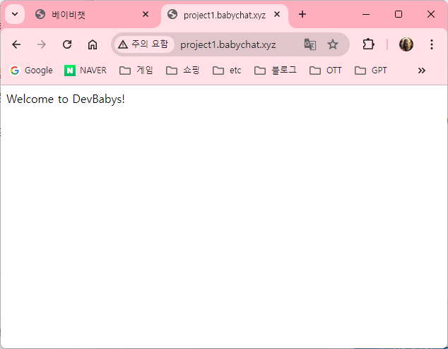 서브 도메인 주소 확인 예시