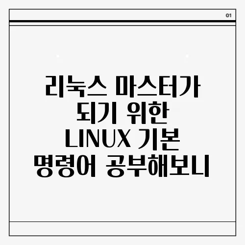 리눅스 마스터가 되기 위한 LINUX 기본 명령어 공부해보니