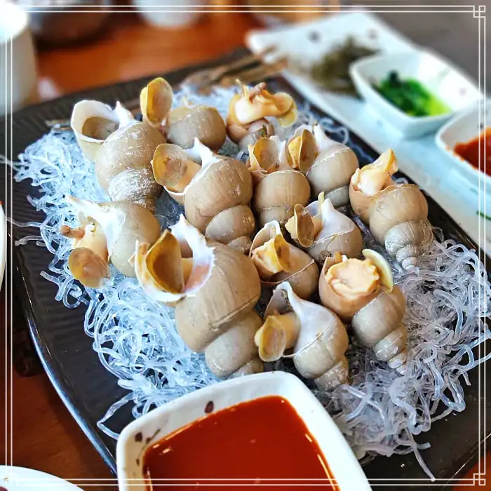 TBJ 생방송투데이 포항 구룡포시장 전국 택배 주문 백고둥구이 맛집